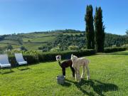 Top Greve in Chianti