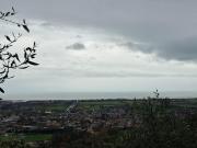 Top Nicola Top Nicola