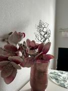 Gemütliche Ferienwohnung-Appartement