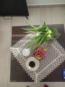 Top Mataruška Banja