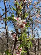 Top Dörgicse Top Dörgicse