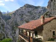 Top Arenas de Cabrales