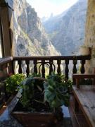 Top Arenas de Cabrales