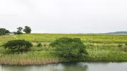 Top Winterton