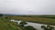 Top Winterton