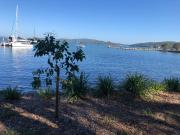 4 @ Alta Mira - Soldiers Point