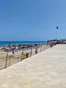 Top Torrevieja Top Torrevieja