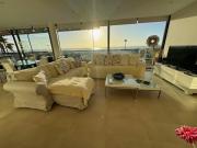 Top Cotillo