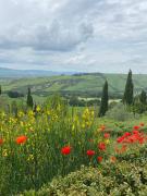 La casetta del frontone