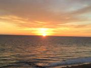 Top Agon Coutainville