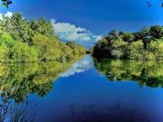 Top Chwilog Top Chwilog