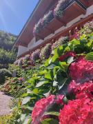 Gästehaus Oslhof Ferienwohnungen