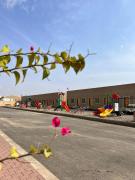 شاليهات سرايا ان لبيوت العطلات