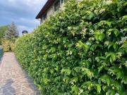 10 minutes to flight Orio al Serio BGY