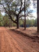 Top Nacogdoches