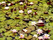 Top Gagern Top Gagern