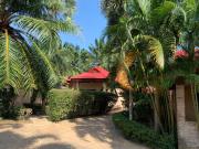 Top Rawai Beach
