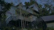 Top Wayanad