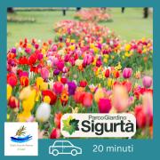 Studio Centrale Pacengo di Lazise