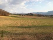 Top Fogliano