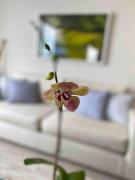 Top Cartagena de Indias