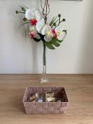 Top SantʼAnna Arresi