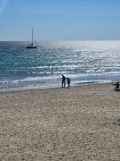 Top Alicante