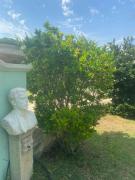 Top Carrozziere – Fonte Ciane