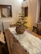 Top Montalbano Elicona