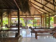 Top Bukit Lawang