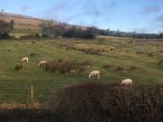 Sanctuary Cottage at Blacko Sanctuary Cottage at Blacko