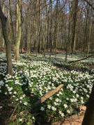 Top Werne an der Lippe