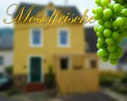 Top Zell an der Mosel