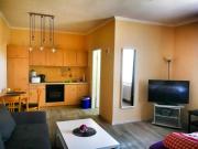 Studio - Kleiner Seehund