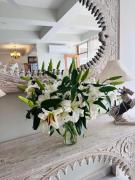 Top Imphal Top Imphal