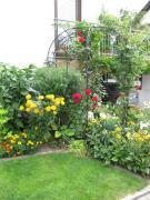 Abendstille am Obstgarten mit Terrasse