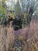 Top Kunowice Top Kunowice