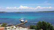 Top Island Gangaro
