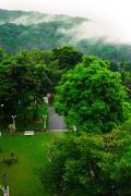 Top Athirappilly