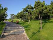 Top Qingdao