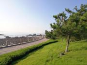 Top Qingdao