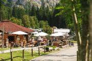 Top Malga Ciapela