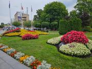 Top Międzyzdroje Top Międzyzdroje