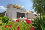 Apartments in Villas Punta Skala with beachpool