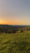Top Montville