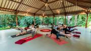 Top Ubud