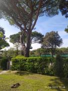 Top Aprilia Marittima