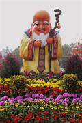 Top Shenzhen