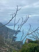 Top Maratea