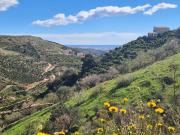 Top Benamargosa